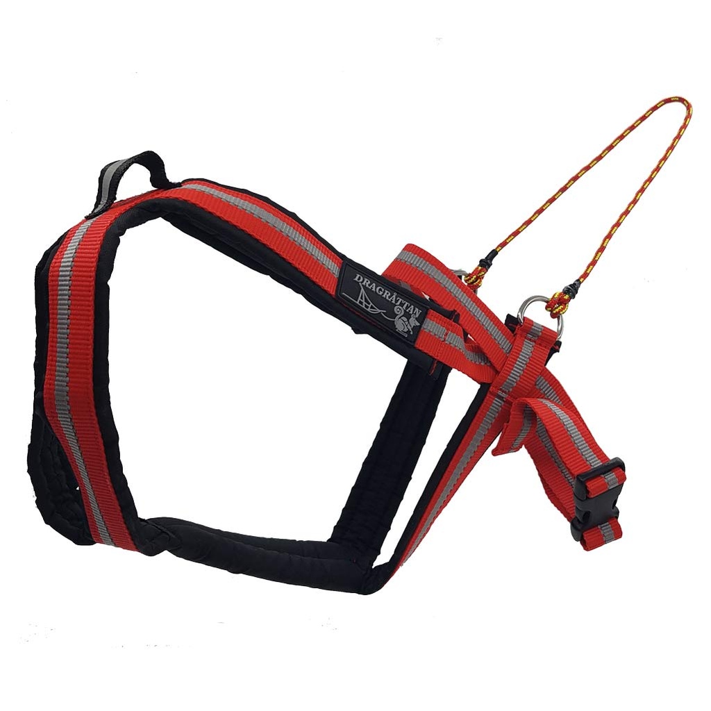 Dragråttan Multisport Harness | DOGSPORTWORLD